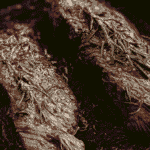Bobby Flay’s Coffee-Rubbed Flank Steak
