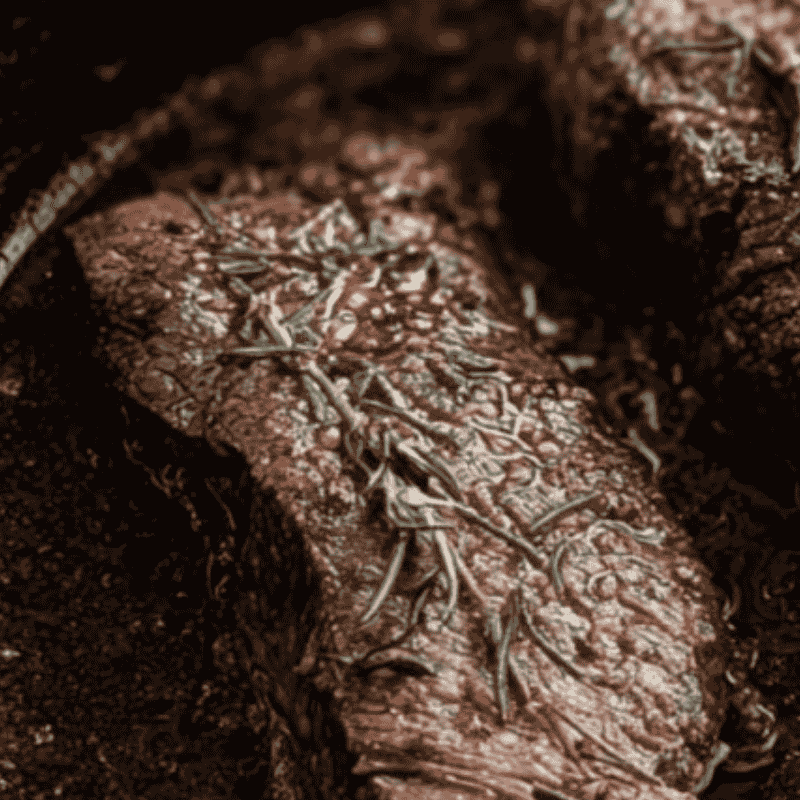 Bobby Flay’s Coffee-Rubbed Flank Steak